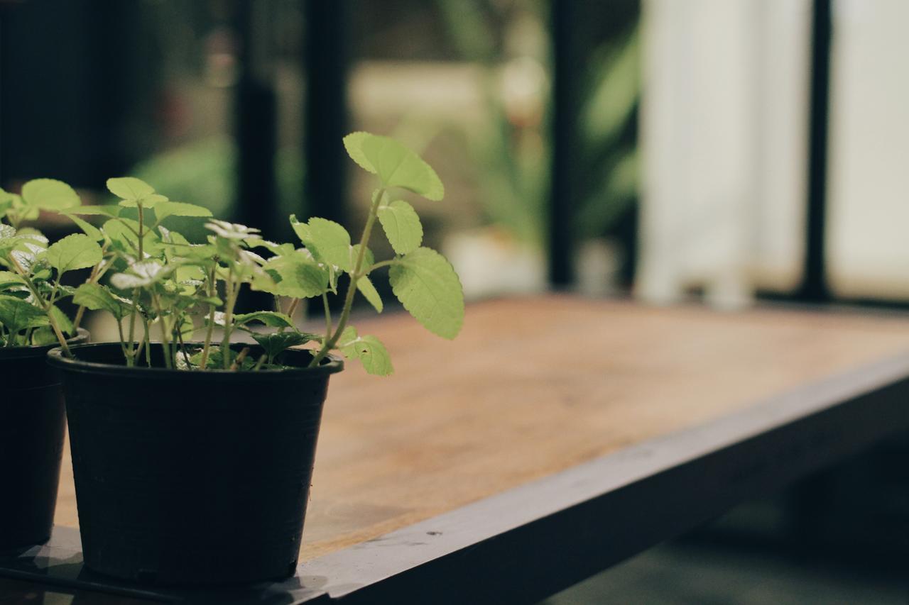 Mint Hostel Банкок Екстериор снимка